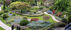Kirstenbosch Gardens