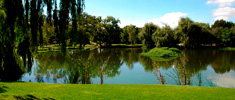 Spier