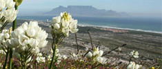 Tygerberg Nature Reserve